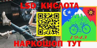 стафф Кудрово