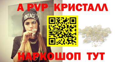 стафф Кудрово
